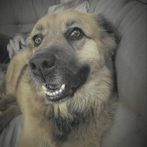 Meet your Posher, Lynn